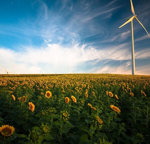 Természetes energiaforrások